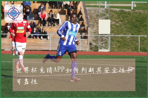 世界杯竞猜APP如何判断其安全性和可靠性