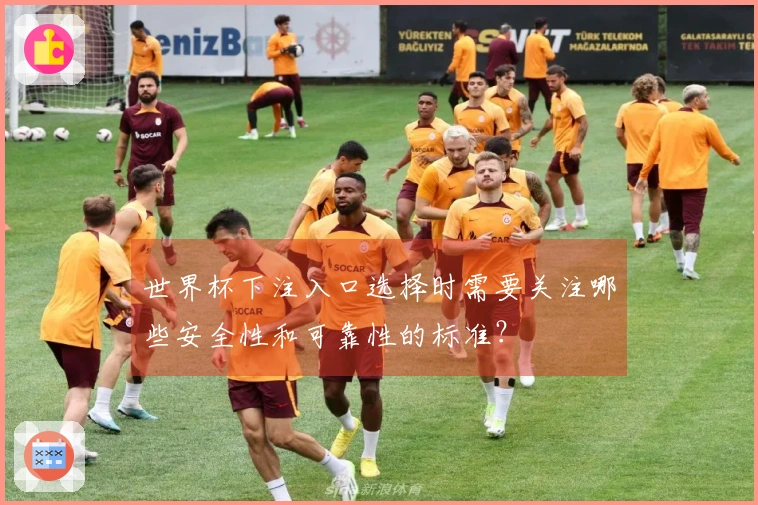 世界杯下注入口选择时需要关注哪些安全性和可靠性的标准？