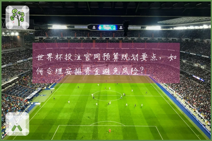 世界杯投注官网预算规划要点，如何合理安排资金避免风险？